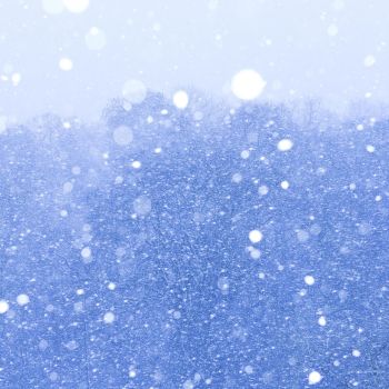 雪声电台 artwork